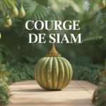 courge de siam dans jardin tropical, fruits verts