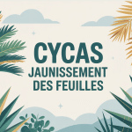 Cycas jaunissement feuilles, contraste entre vert et jaune, style éducatif