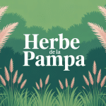 En combien de temps pousse herbe de la pampa en jardin luxuriant