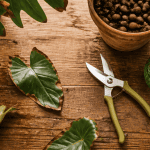 faut il couper le bout des feuilles marron outils