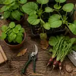 outils jardinier facile sur plan de travail